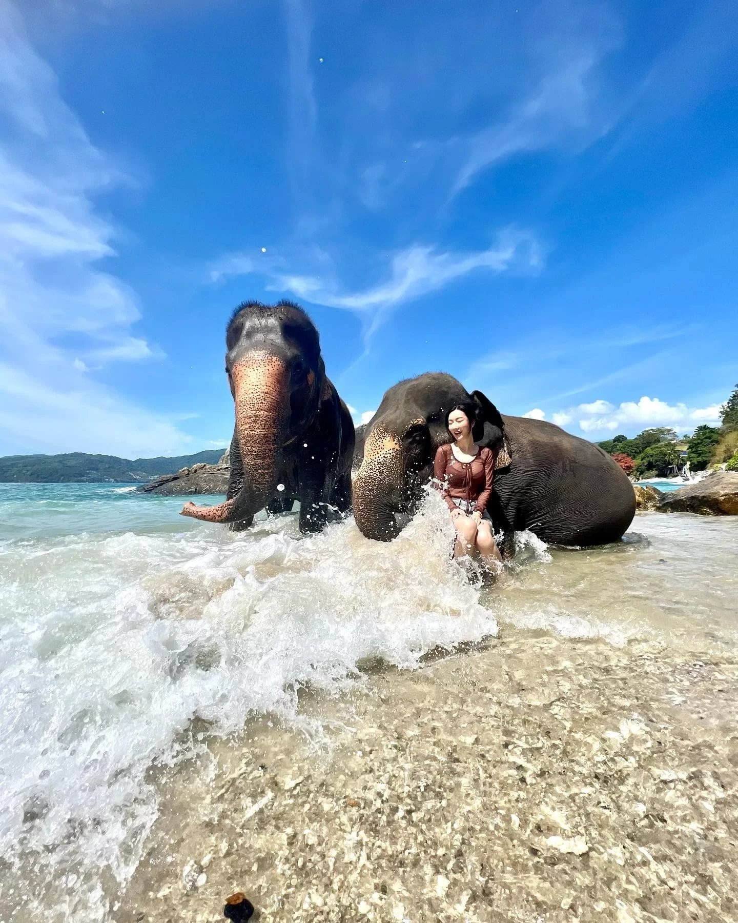 phuket-elephant-on-the-beach-11.webp