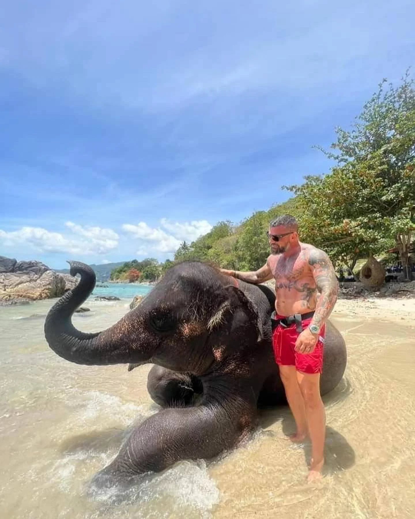 phuket-elephant-on-the-beach-15.webp