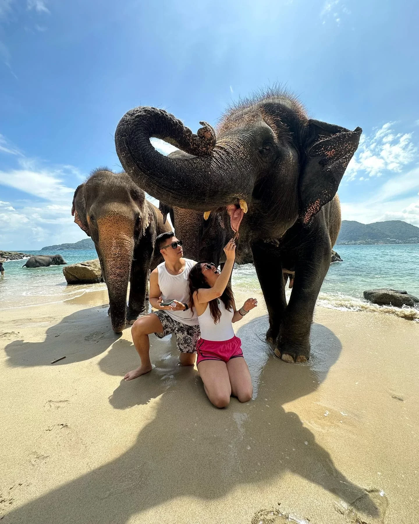 phuket-elephant-on-the-beach-22.webp