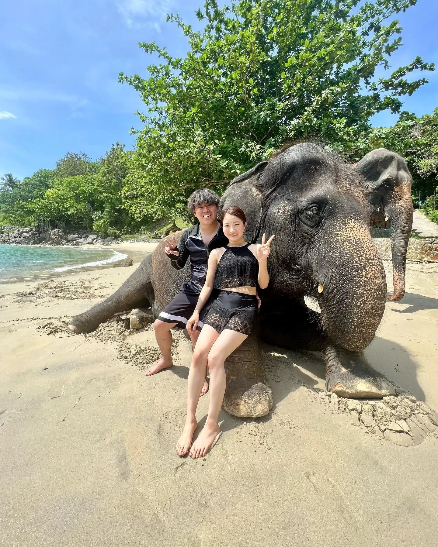 phuket-elephant-on-the-beach-23.webp