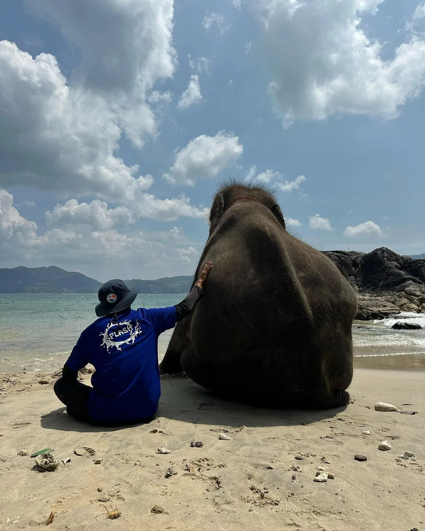 phuket-elephant-on-the-beach-5.webp