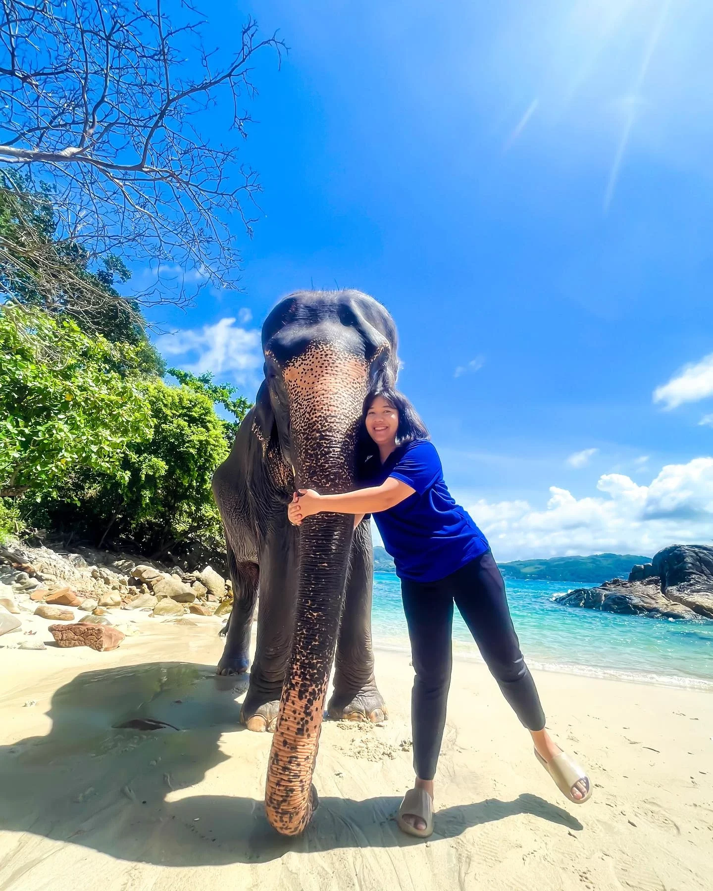 phuket-elephant-on-the-beach-54.webp